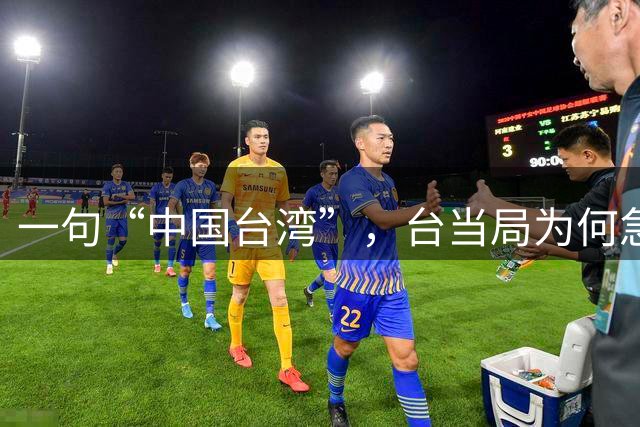 一句“中国台湾”，台当局为何急了？